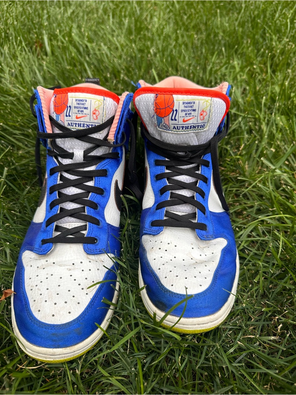 Blue and White Nike Dunks Basketball Sneakers -